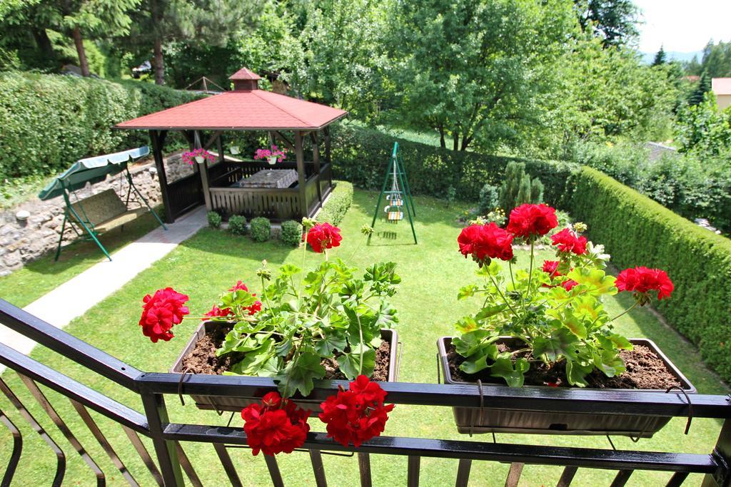 Daire Junior Zlatibor